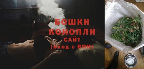 шишки Медвежьегорск