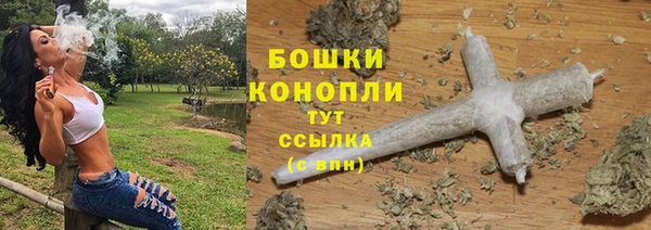 трава Арсеньев