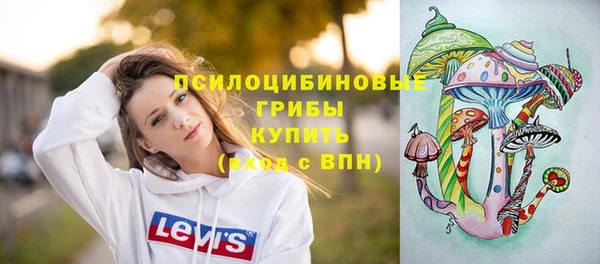 трава Арсеньев