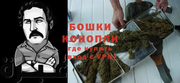 трава Арсеньев