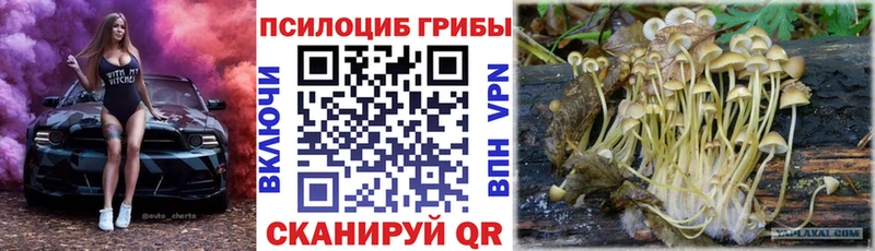 Псилоцибиновые грибы Magic Shrooms  Малмыж 